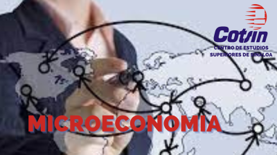 MICROECONOMIA