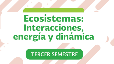 Ecosistemas: Interacción y energía Dinámica
